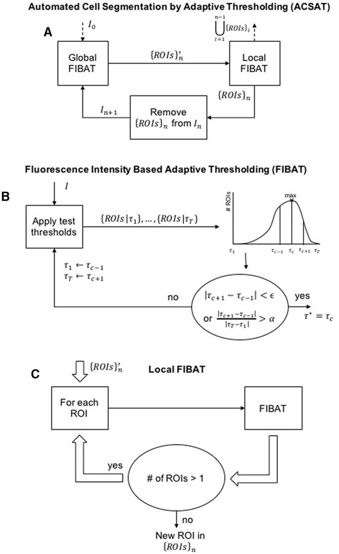 https://cdn.ncbi.nlm.nih.gov/pmc/blobs/dcf1/6135987/c111ae83934a/enu0051827210001.jpg