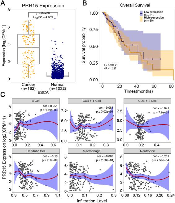 https://cdn.ncbi.nlm.nih.gov/pmc/blobs/dcf8/8286057/ee4c72a6be40/peerj-09-11698-g005.jpg