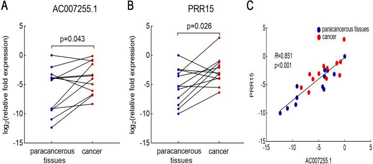 https://cdn.ncbi.nlm.nih.gov/pmc/blobs/dcf8/8286057/fcf1f9289501/peerj-09-11698-g004.jpg