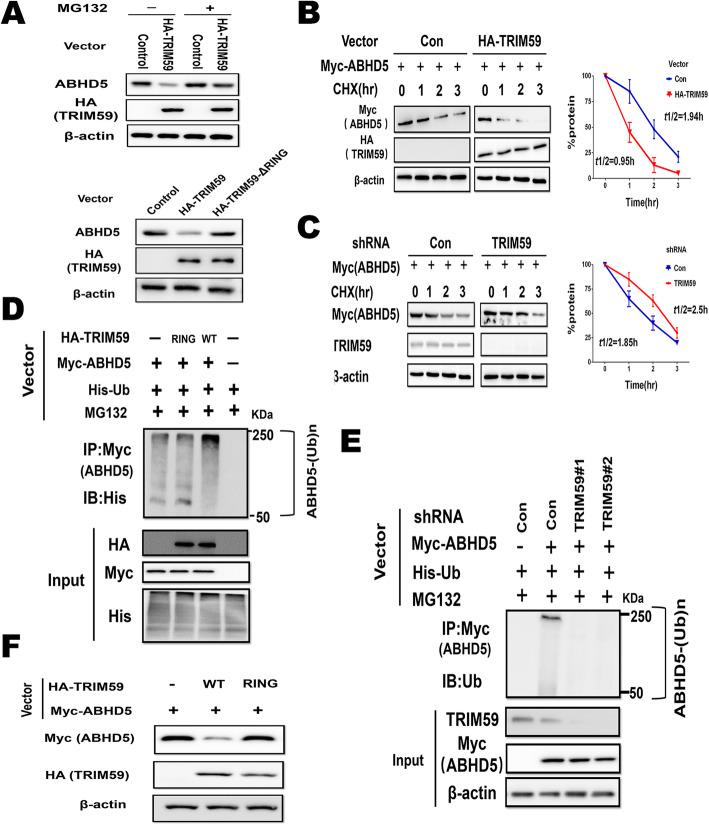 https://cdn.ncbi.nlm.nih.gov/pmc/blobs/dd03/7457778/b9a82d03bdda/13046_2020_1688_Fig3_HTML.jpg