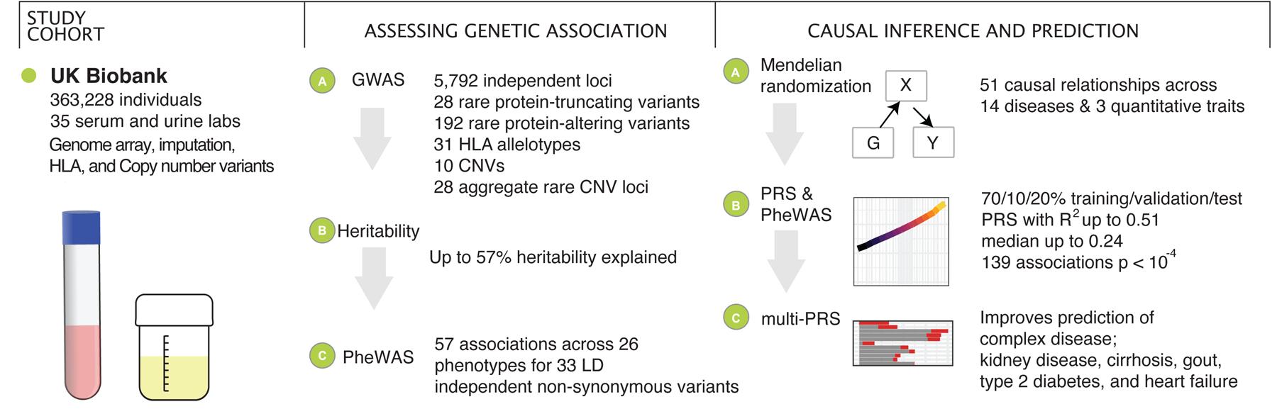 https://cdn.ncbi.nlm.nih.gov/pmc/blobs/dd11/7867639/ac6768155af2/nihms-1651539-f0001.jpg