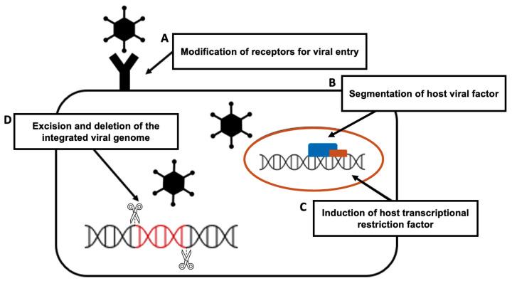 https://cdn.ncbi.nlm.nih.gov/pmc/blobs/dd14/9495783/37561b40139e/bioengineering-09-00477-g003.jpg