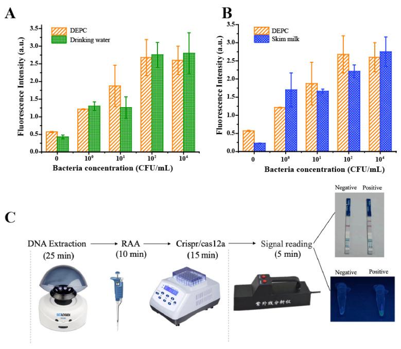 https://cdn.ncbi.nlm.nih.gov/pmc/blobs/dd1c/10295930/019844d18a25/biosensors-13-00659-g005.jpg