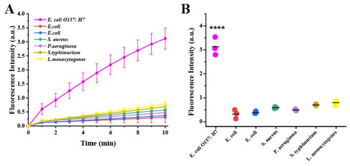 https://cdn.ncbi.nlm.nih.gov/pmc/blobs/dd1c/10295930/15069949f994/biosensors-13-00659-g004.jpg