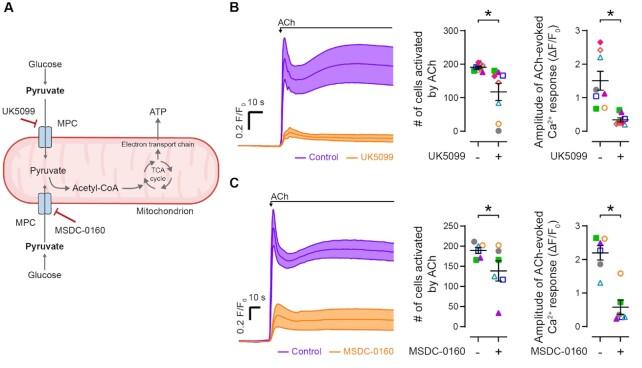 https://cdn.ncbi.nlm.nih.gov/pmc/blobs/dd1d/9909368/8eb3ef824913/zqac063fig5.jpg