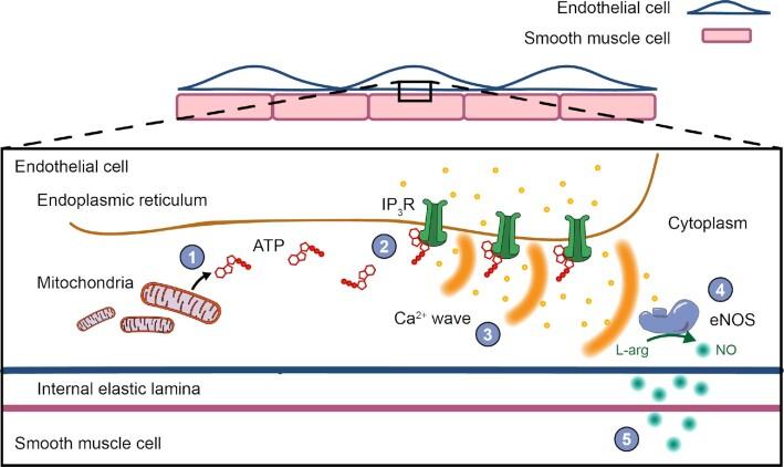 https://cdn.ncbi.nlm.nih.gov/pmc/blobs/dd1d/9909368/abf2345e1326/zqac063fig7.jpg