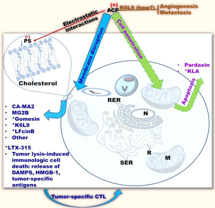 https://cdn.ncbi.nlm.nih.gov/pmc/blobs/dd34/5542299/4f445526b432/oncotarget-08-46635-g002.jpg