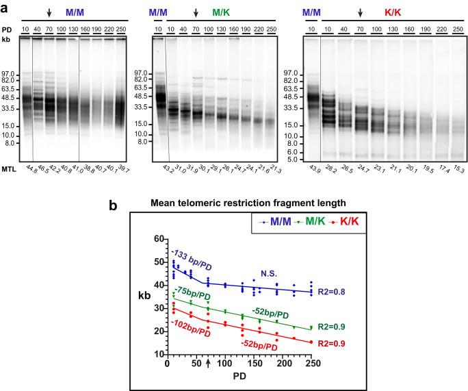 https://cdn.ncbi.nlm.nih.gov/pmc/blobs/dd65/10593777/4aa3738af569/41467_2023_42534_Fig2_HTML.jpg
