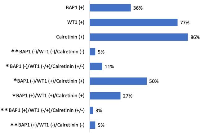 https://cdn.ncbi.nlm.nih.gov/pmc/blobs/dd9b/10821830/1ded220fe590/432_2023_5565_Fig1_HTML.jpg