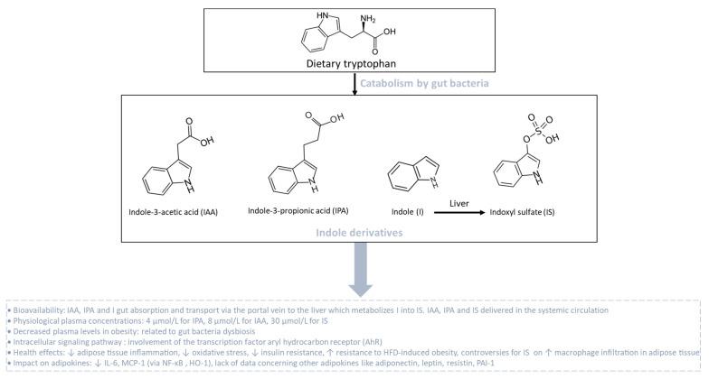 https://cdn.ncbi.nlm.nih.gov/pmc/blobs/dda5/10742113/991ebb7e0efc/biomolecules-13-01692-g006.jpg