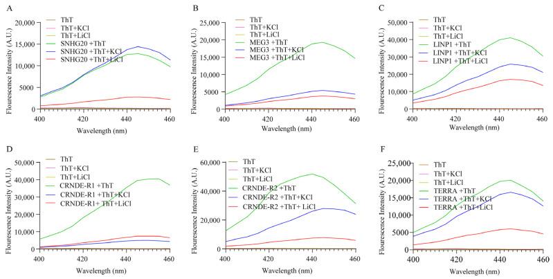 https://cdn.ncbi.nlm.nih.gov/pmc/blobs/ddcb/10454738/0d6e6e2d935c/ijms-24-12658-g004.jpg