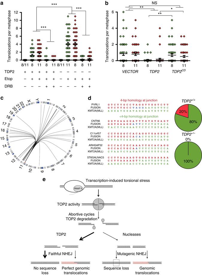 https://cdn.ncbi.nlm.nih.gov/pmc/blobs/ddcb/5550487/073aec7218a3/41467_2017_307_Fig4_HTML.jpg