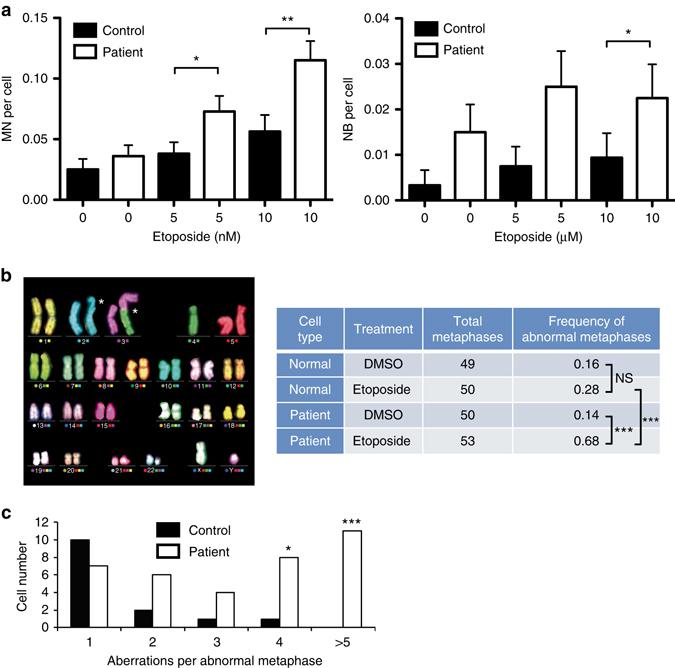 https://cdn.ncbi.nlm.nih.gov/pmc/blobs/ddcb/5550487/e9e964d8c12c/41467_2017_307_Fig1_HTML.jpg