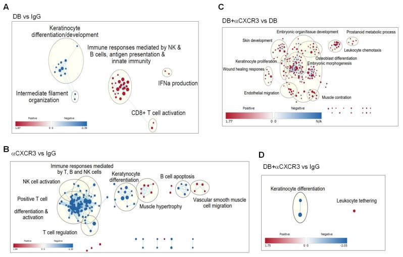 https://cdn.ncbi.nlm.nih.gov/pmc/blobs/ddd5/12384184/3e6b961072cb/cancers-17-02684-g007.jpg