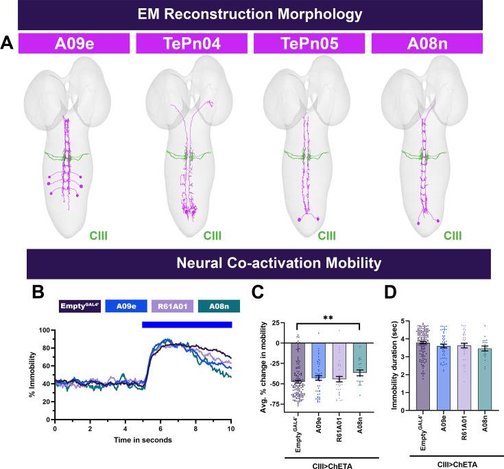 https://cdn.ncbi.nlm.nih.gov/pmc/blobs/ddd9/12165694/495595784849/elife-91582-fig7-figsupp1.jpg
