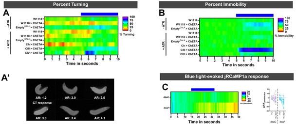 https://cdn.ncbi.nlm.nih.gov/pmc/blobs/ddd9/12165694/4ede0b1ea3d2/elife-91582-sa4-fig1.jpg
