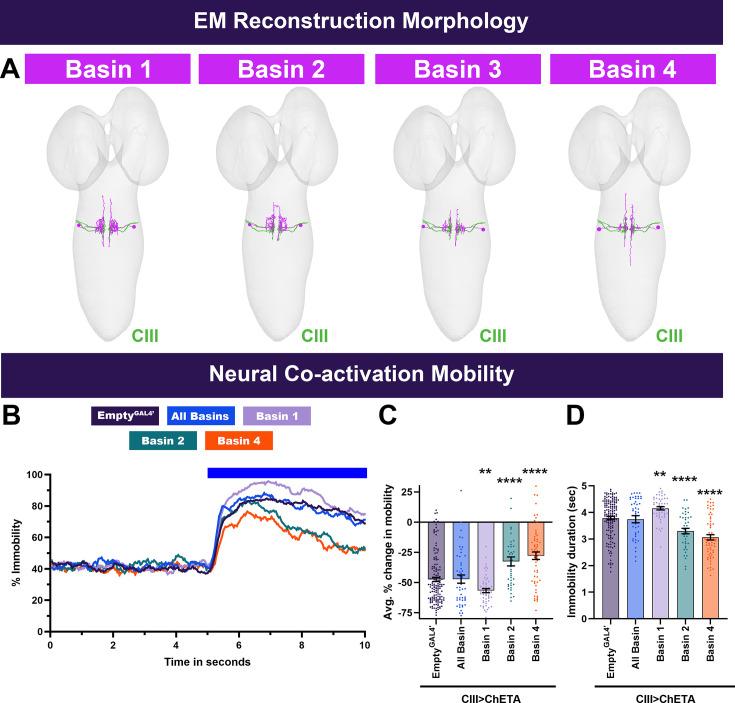 https://cdn.ncbi.nlm.nih.gov/pmc/blobs/ddd9/12165694/66b398cfc893/elife-91582-fig2-figsupp1.jpg