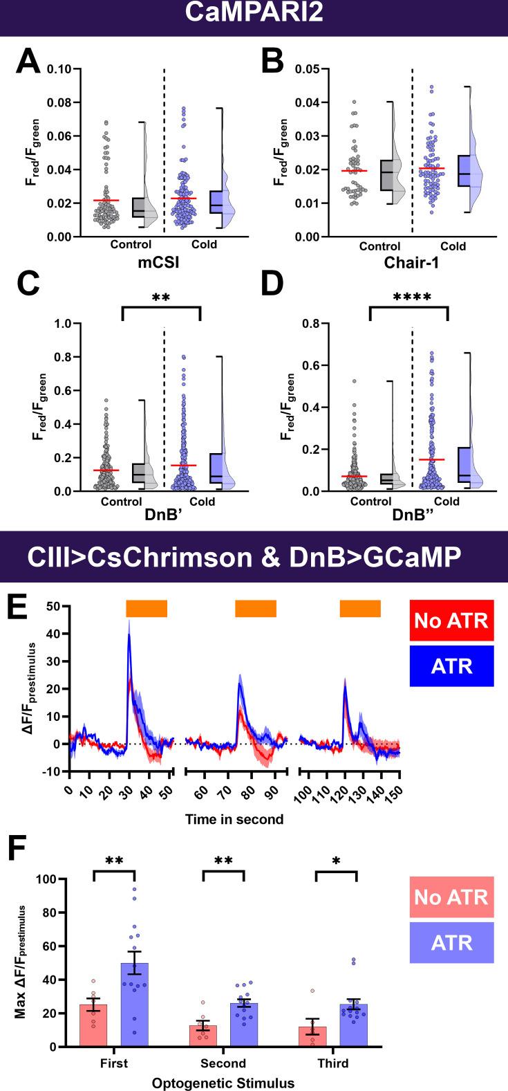 https://cdn.ncbi.nlm.nih.gov/pmc/blobs/ddd9/12165694/6c34098b30d2/elife-91582-fig6.jpg