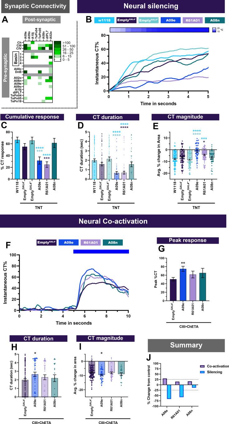 https://cdn.ncbi.nlm.nih.gov/pmc/blobs/ddd9/12165694/73c48386e252/elife-91582-fig7.jpg