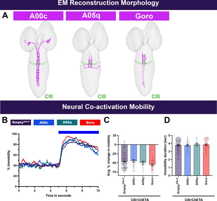 https://cdn.ncbi.nlm.nih.gov/pmc/blobs/ddd9/12165694/98334648448f/elife-91582-fig4-figsupp1.jpg