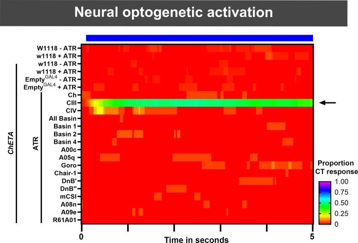 https://cdn.ncbi.nlm.nih.gov/pmc/blobs/ddd9/12165694/a0af5aa2d0c2/elife-91582-fig2-figsupp2.jpg