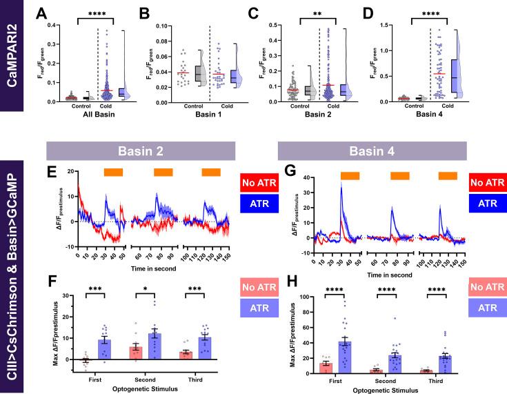 https://cdn.ncbi.nlm.nih.gov/pmc/blobs/ddd9/12165694/d32f1266856b/elife-91582-fig3.jpg