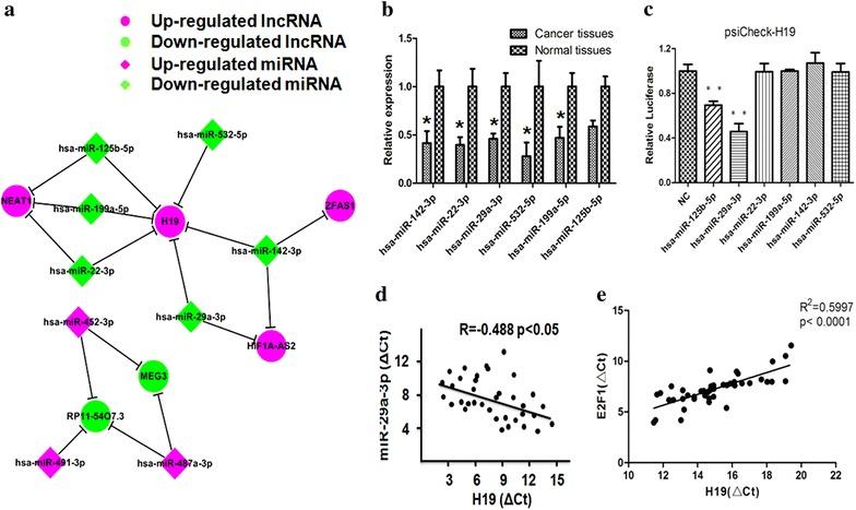 https://cdn.ncbi.nlm.nih.gov/pmc/blobs/ddd9/5709834/8b0583bb9916/13578_2017_193_Fig2_HTML.jpg