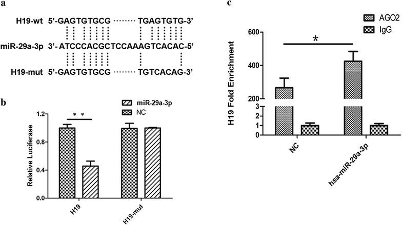 https://cdn.ncbi.nlm.nih.gov/pmc/blobs/ddd9/5709834/e3e8a42aa08f/13578_2017_193_Fig3_HTML.jpg