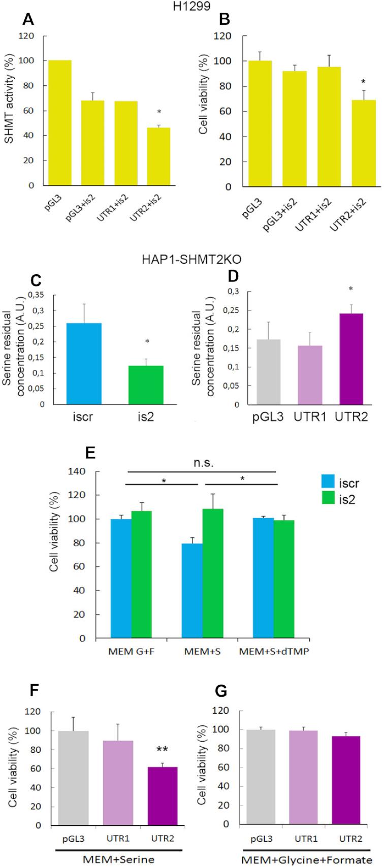 https://cdn.ncbi.nlm.nih.gov/pmc/blobs/ddfa/6486632/219d3260188a/gkz129fig9.jpg