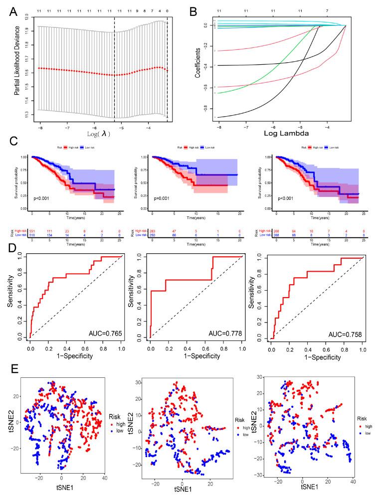 https://cdn.ncbi.nlm.nih.gov/pmc/blobs/ddfa/8774675/2cb0d8ab0f73/genes-13-00088-g004.jpg