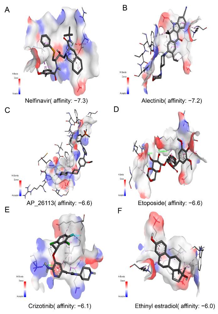 https://cdn.ncbi.nlm.nih.gov/pmc/blobs/ddfa/8774675/68c2707407b1/genes-13-00088-g007.jpg
