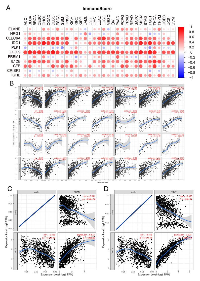 https://cdn.ncbi.nlm.nih.gov/pmc/blobs/ddfa/8774675/9332258a5cfc/genes-13-00088-g006.jpg