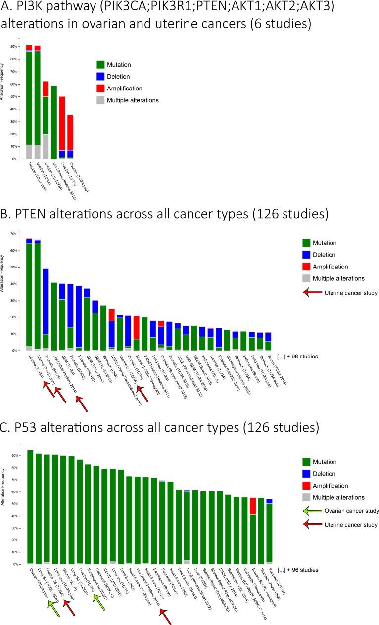 https://cdn.ncbi.nlm.nih.gov/pmc/blobs/de25/5354810/44289f4cad10/oncotarget-08-4008-g002.jpg