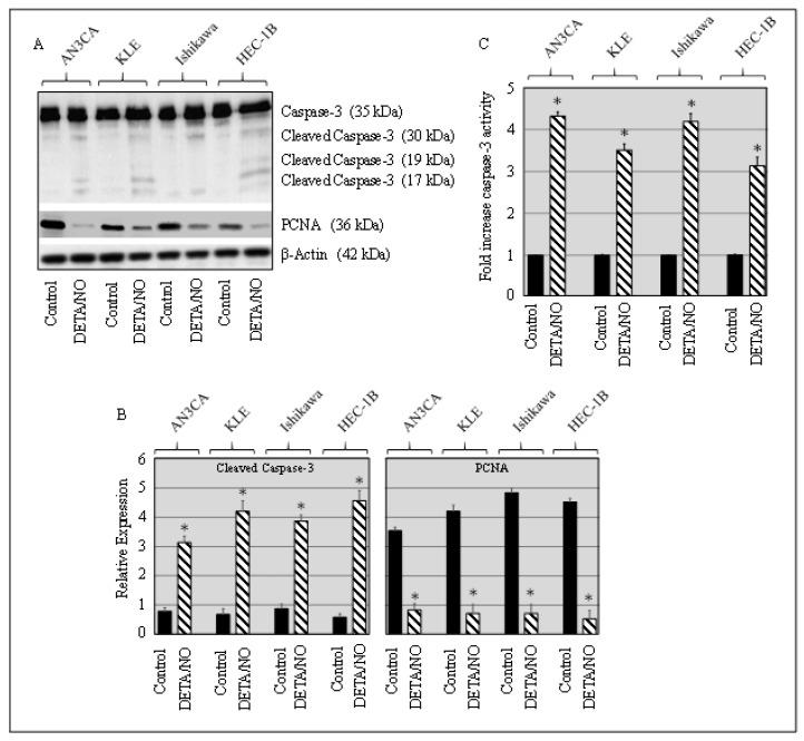 https://cdn.ncbi.nlm.nih.gov/pmc/blobs/de42/6832369/35ca1dac24b3/molecules-24-03722-g002.jpg