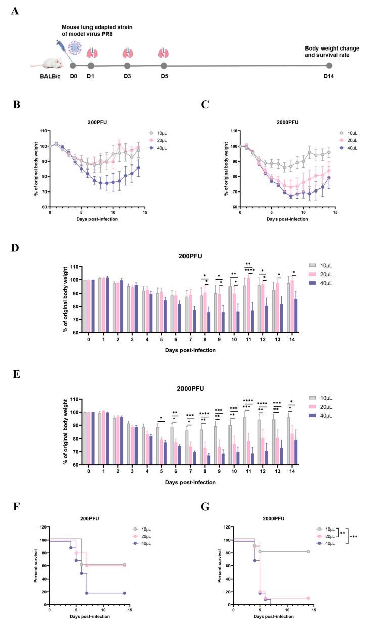 https://cdn.ncbi.nlm.nih.gov/pmc/blobs/de51/11860169/bdeb8a6908f5/vaccines-13-00173-g001.jpg