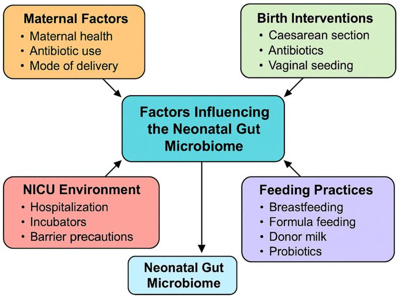 https://cdn.ncbi.nlm.nih.gov/pmc/blobs/de64/12388698/eabf89e15293/microorganisms-13-01772-g001.jpg