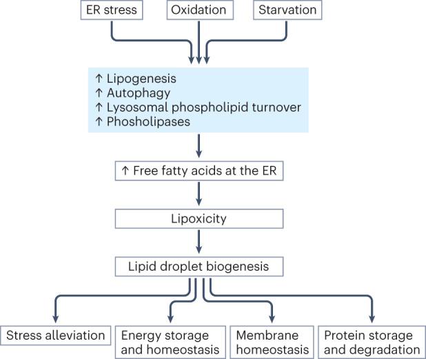 https://cdn.ncbi.nlm.nih.gov/pmc/blobs/de81/10204695/69caab23890a/41574_2023_845_Fig2_HTML.jpg