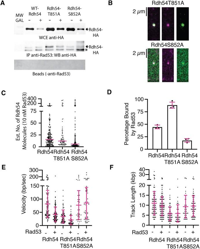 https://cdn.ncbi.nlm.nih.gov/pmc/blobs/de90/10681728/15f8a3213e78/gkad848fig6.jpg
