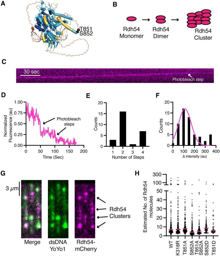 https://cdn.ncbi.nlm.nih.gov/pmc/blobs/de90/10681728/aa7dac2a3d06/gkad848fig3.jpg