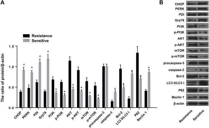https://cdn.ncbi.nlm.nih.gov/pmc/blobs/de9b/5564776/11b36933c210/oncotarget-08-49380-g010.jpg