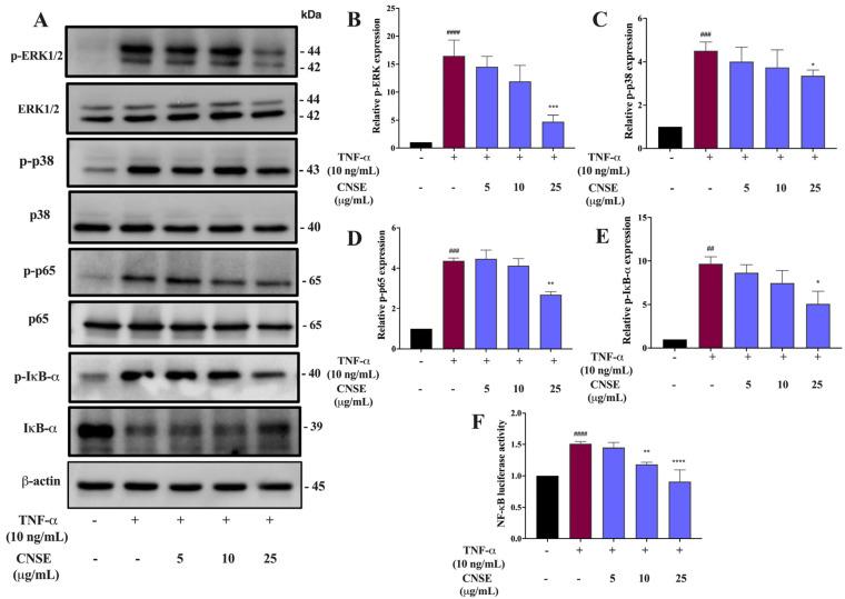 https://cdn.ncbi.nlm.nih.gov/pmc/blobs/dea6/10095692/5cc29d88b34c/molecules-28-03057-g008.jpg