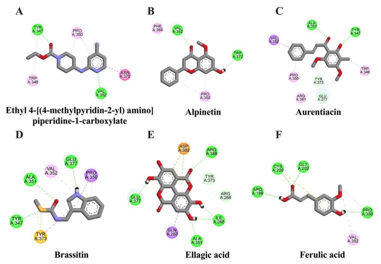 https://cdn.ncbi.nlm.nih.gov/pmc/blobs/dea6/10095692/98e2b822d10c/molecules-28-03057-g004.jpg