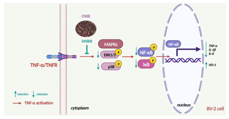 https://cdn.ncbi.nlm.nih.gov/pmc/blobs/dea6/10095692/b499dd75ed92/molecules-28-03057-g010.jpg