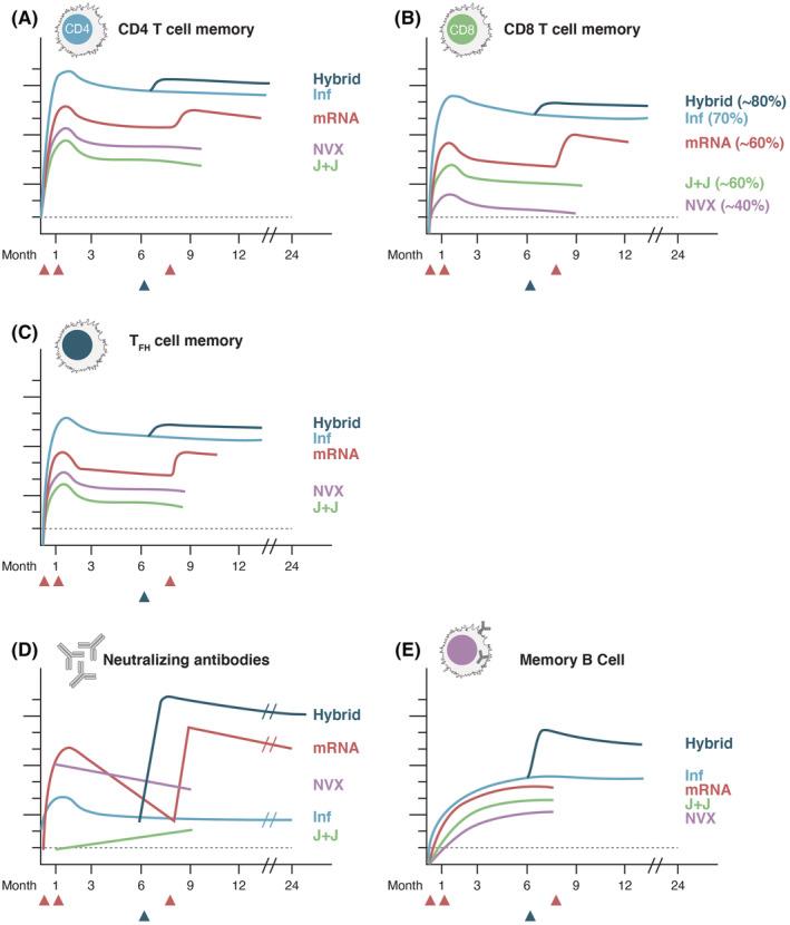 https://cdn.ncbi.nlm.nih.gov/pmc/blobs/deb3/9349657/9e12a68a3247/IMR-9999-0-g002.jpg