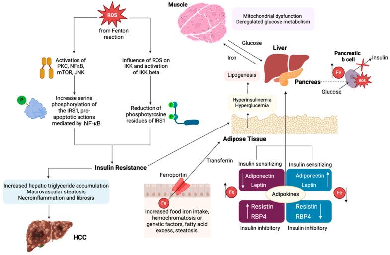 https://cdn.ncbi.nlm.nih.gov/pmc/blobs/deb5/11815926/24961c1f4579/cancers-17-00392-g003.jpg