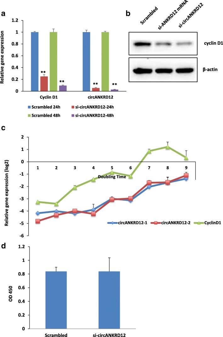 https://cdn.ncbi.nlm.nih.gov/pmc/blobs/dec7/6558796/1de9564fc737/12885_2019_5723_Fig7_HTML.jpg