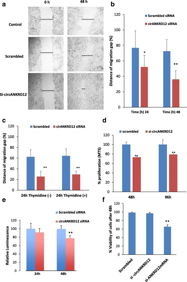 https://cdn.ncbi.nlm.nih.gov/pmc/blobs/dec7/6558796/33811a9a2df3/12885_2019_5723_Fig5_HTML.jpg