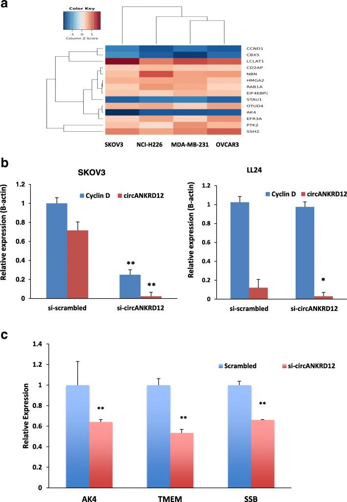 https://cdn.ncbi.nlm.nih.gov/pmc/blobs/dec7/6558796/5a5447285908/12885_2019_5723_Fig4_HTML.jpg
