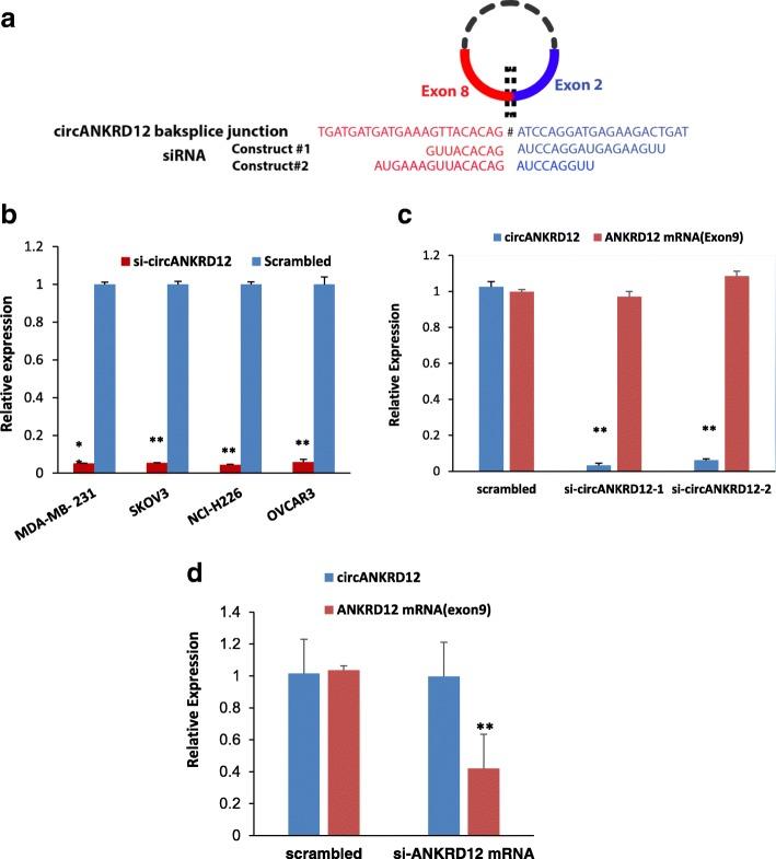 https://cdn.ncbi.nlm.nih.gov/pmc/blobs/dec7/6558796/938046805c52/12885_2019_5723_Fig1_HTML.jpg