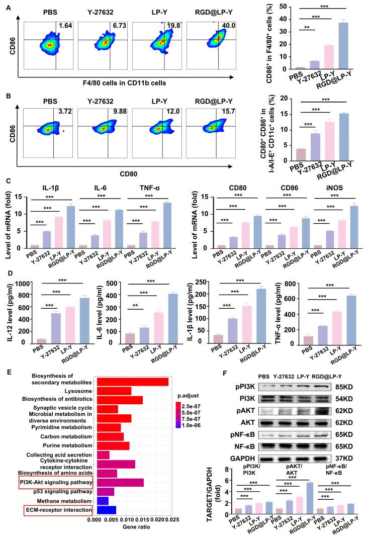 https://cdn.ncbi.nlm.nih.gov/pmc/blobs/dec9/12374651/8b759a88f432/thnov15p8569g002.jpg